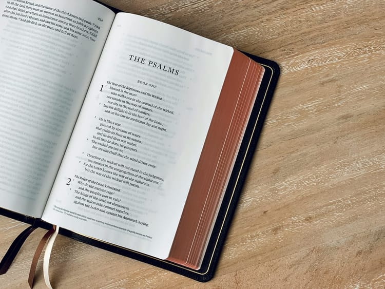 Studium biblijne: Błogosławieństwo przebaczenia