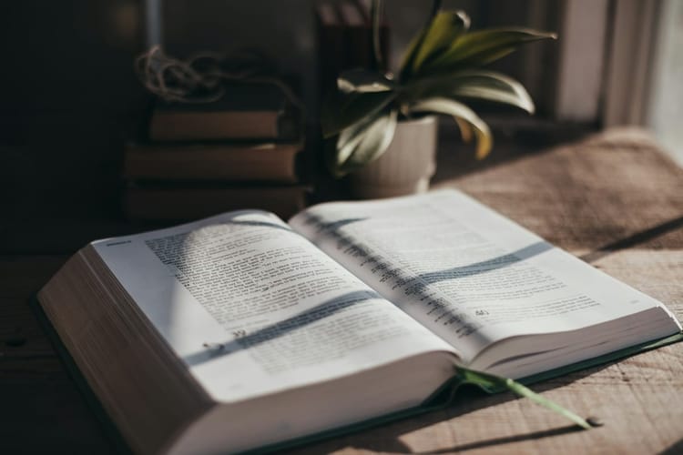 Studium Biblii: Niech miłość prowadzi