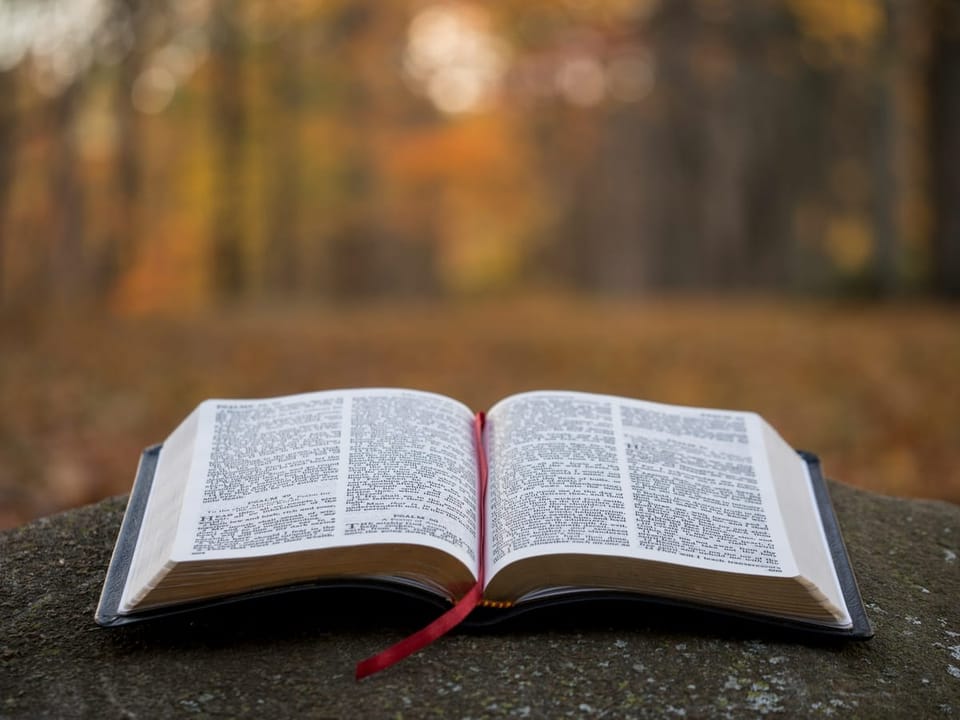 Studium biblijne: Głód sprawiedliwości