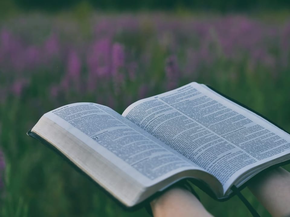 Studium biblijne: Trwaj mocno w wierze