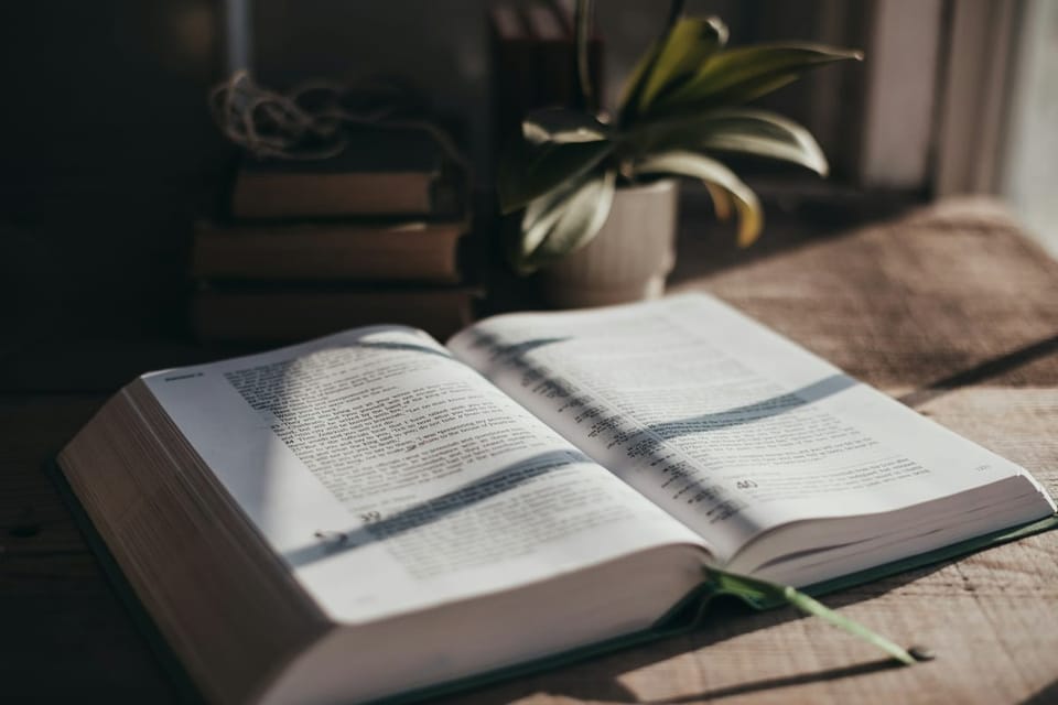 Studium Biblii: Niech miłość prowadzi